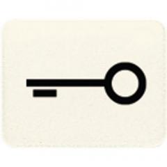 Jung 33T Kalotte mit Symbol, lichtundurchlässig, weiß, Symbol Tür