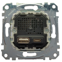 MERTEN MEG4366-0110 2,4A Typ A+C USB Ladestation-Einsatz