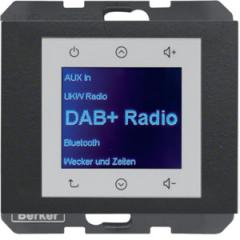 Berker 30847006 UP DAB+ BT K.x ant matt Radio Touch