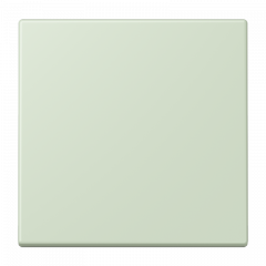 Jung ENOLC990218 EnOcean Funk-Wandsender 2-kanalig, Serie LS, vert anglâis pale ( LC32042 )