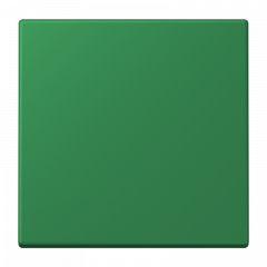 Jung ENOLC990219 EnOcean Funk-Wandsender 2-kanalig, Serie LS, vert foncé ( LC32050 )