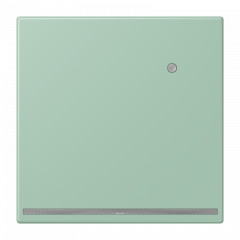 Jung LC1539-OLNW217 LED-Orientierungslicht mit integriertem Helligkeitssensor, Thermoplast lackiert, Serie LS, vert anglais clair ( LC3204 )