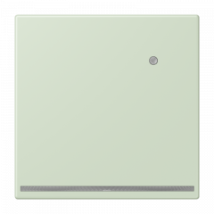 Jung LC1539-OLNW218 LED-Orientierungslicht mit integriertem Helligkeitssensor, Thermoplast lackiert, Serie LS, vert anglâis pale ( LC3204 )
