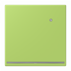 Jung LC1539-OLNW221 LED-Orientierungslicht mit integriertem Helligkeitssensor, Thermoplast lackiert, Serie LS, vert clair ( LC3205 )