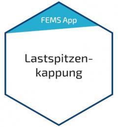 Fenecon FEM415 FEMS App Phasengenaue Lastspitzenkappung App