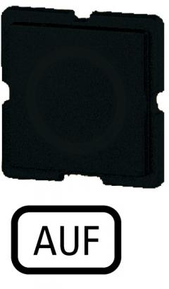 Eaton 172TQ25 Tastenplatte, schwarz, AUF , 090732