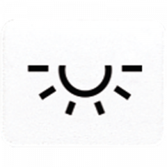 Jung 33LWW Kalotte mit Symbol, lichtundurchlässig, alpinweiß, Symbol Licht