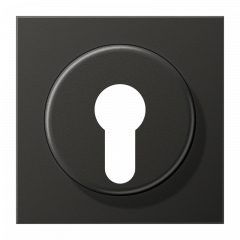 Jung AL2928AN Abdeckung für Schlüsselschalter mit Demontageschutz, Aluminium lackiert, Serie LS, anthrazit (lackiertes Aluminium)
