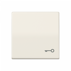 Jung AS591T Wippe, Symbol Tür, Duroplast, Serie AS, weiß