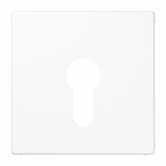 Jung LS925WW Abdeckung für Schlüsselschalter ohne Demontageschutz, Thermoplast, Serie LS, alpinweiß
