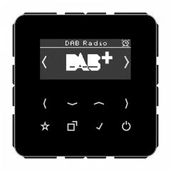 Jung DABCDSW Smart Radio DAB+, Serie CD, schwarz