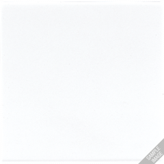 Jung LS994BWWMPL Blind-Abdeckung (gerastet) Zentralplatte, Thermoplast lackiert, Serie LS, schneeweiß matt
