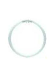 Philips 64097025 Leuchtstofflampe Master TL5 CIRCULAR 40W 830 1CT/10