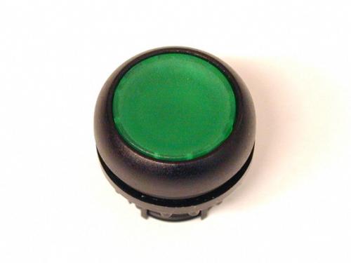 Eaton M22S-D-G Drucktaste, flach, grün, tastend , 216597